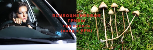 бошки Горняк