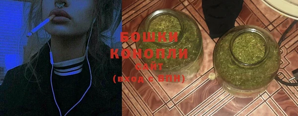бошки Горняк
