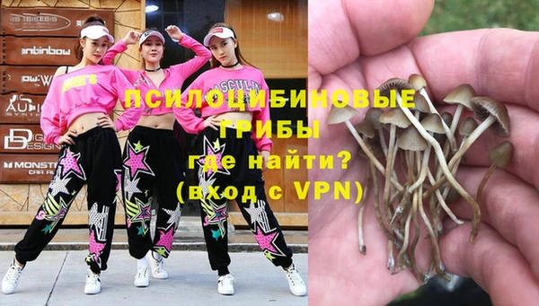 mix Горнозаводск