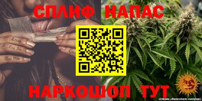 гашик Славгород