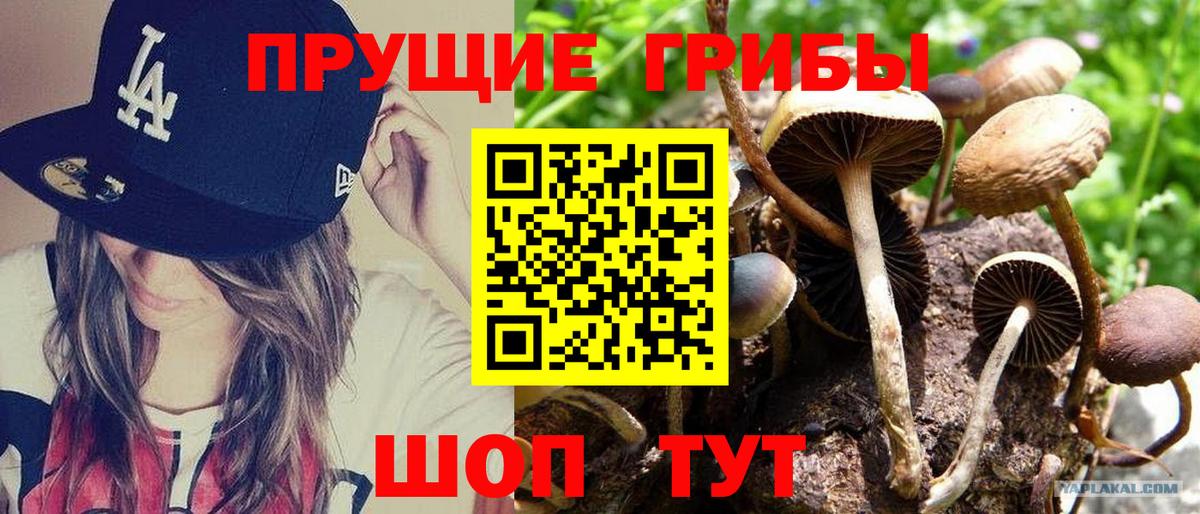 Галлюциногенные грибы мухоморы  Вход с VPN  Чита 